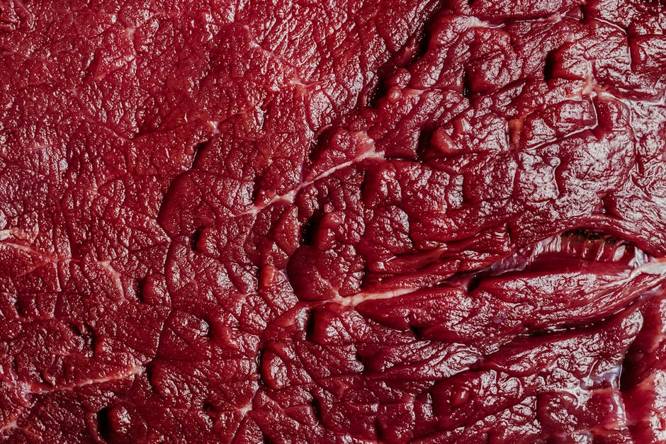 Boeuf bourguignon québécois